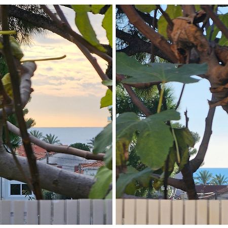 Detente Oceane S2 Proche De La Mer Wifi Clim Cagnes-sur-Mer Kültér fotó