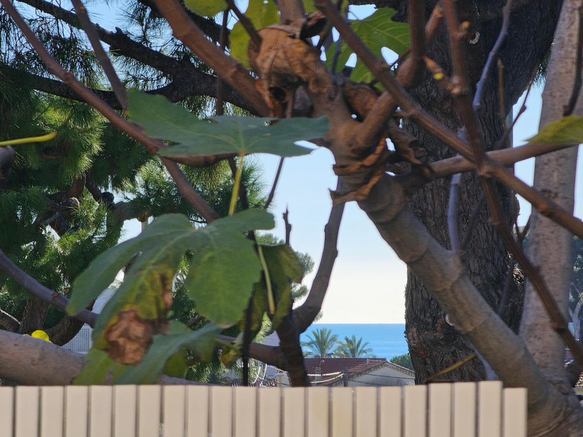 Detente Oceane S2 Proche De La Mer Wifi Clim Cagnes-sur-Mer Kültér fotó