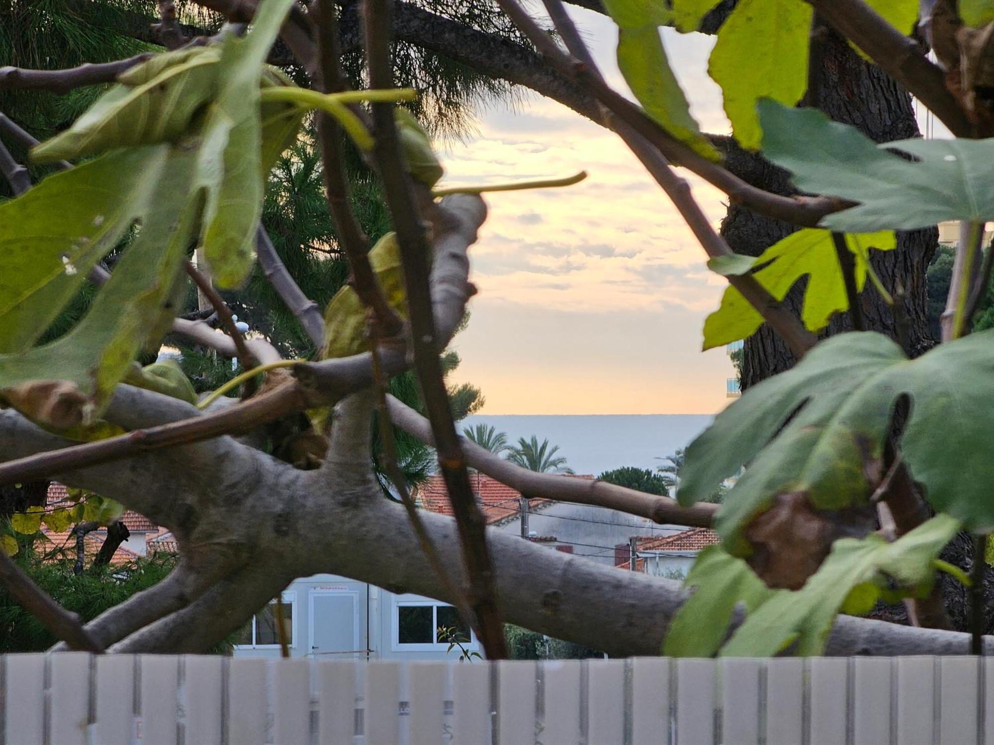 Detente Oceane S2 Proche De La Mer Wifi Clim Cagnes-sur-Mer Kültér fotó